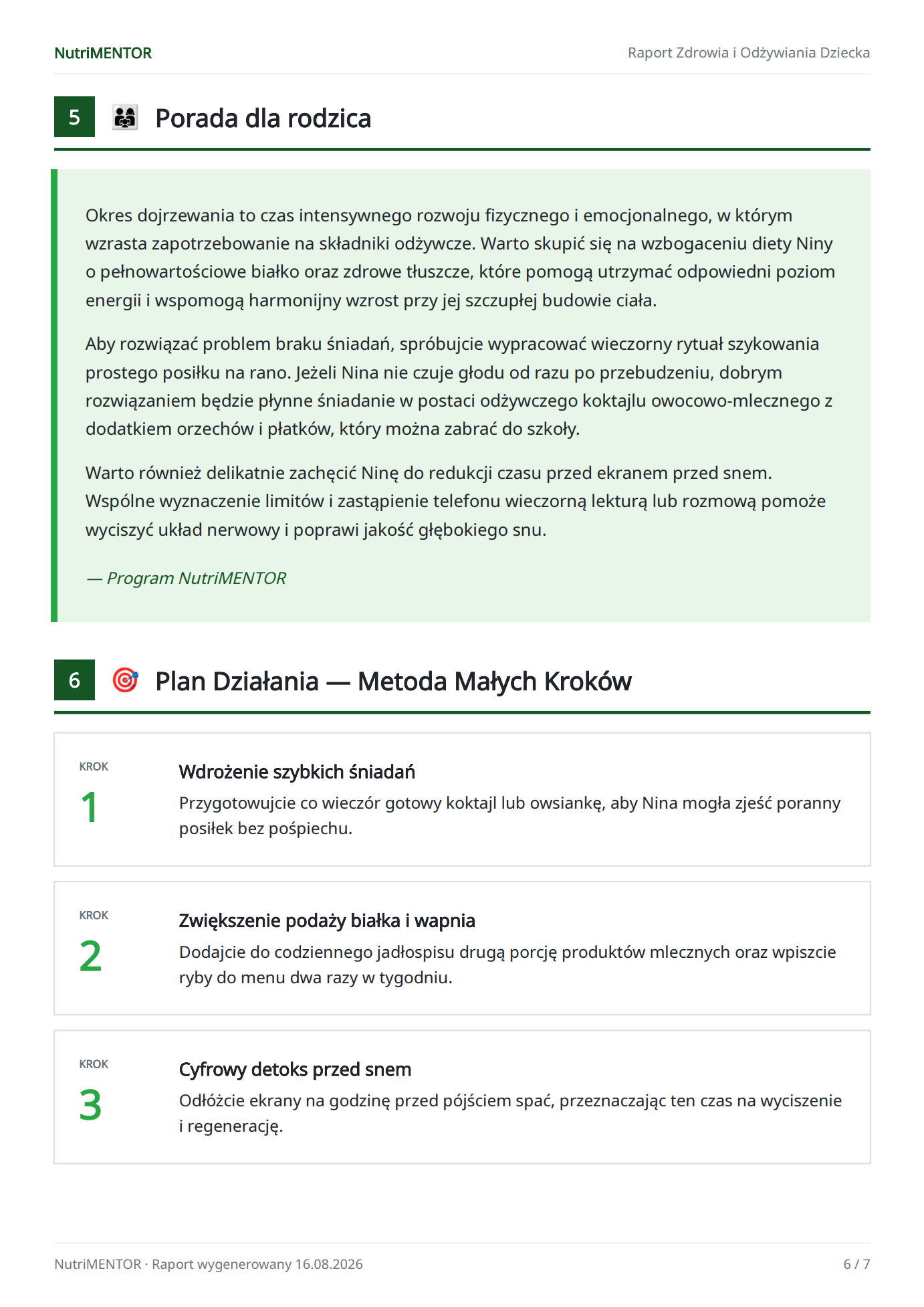 Przykładowy raport, strona 5: Metoda małych kroków